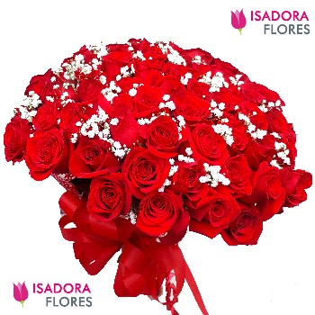 Rosas premium