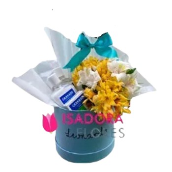 Box Maternidade